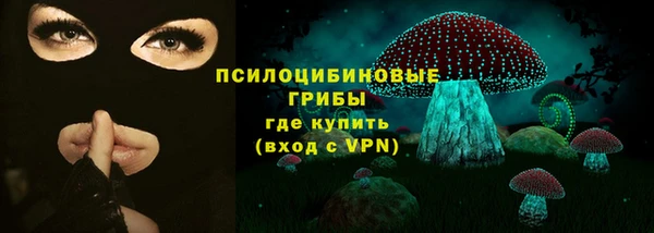 прущий лед Осташков
