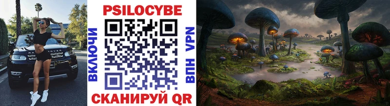 цена наркотик  Кирово-Чепецк  Псилоцибиновые грибы Psilocybe 
