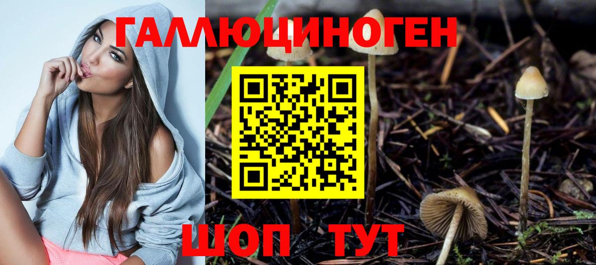 Галлюциногенные грибы ЛСД  Вход с VPN  Кирово-Чепецк  Псилоцибиновые грибы Psilocybine cubensis 
