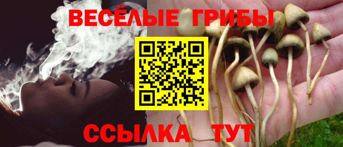 Галлюциногенные грибы мухоморы Кирово-Чепецк
